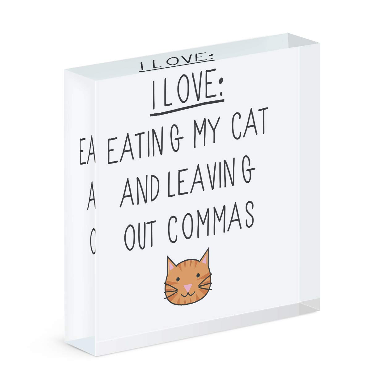 Cadre photo acrylique idée cadeau insolite pour prof de français et ami des chats