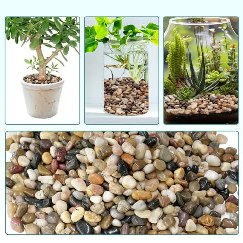 Image of 2.5 lbs Pebbles for Indoor Plants, Vase, Succulent, 3 /8 inch Gravel for Plants, Pots Indoor, Bamboo Rocks for Bamboo Plants, Decorative Small River Rock, Highly Polished