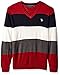 U.S. Polo Assn. Men's Vee Neck Stripe Acrylic