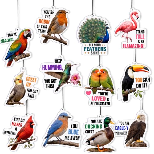 Image of Siifert 24 Pcs Vet Tech Appreciation Gift Bulk Funny Bird Air Freshener Car