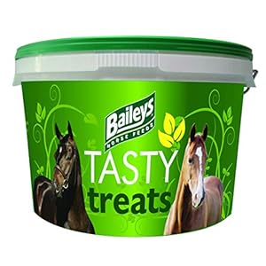 Bailey’s Tasty Treats