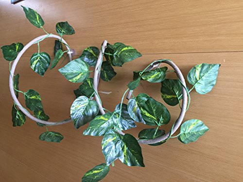pranovo Reptile Climbing Branch Jungle Vine Terrarium Vines Flexible Pet Habitat Decor with Suction Cups and Realistic Vine Leaf for Crested Gecko Lizard Spider Scorpion Snake Other Small Animals