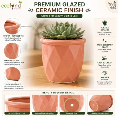 Image of ecofynd 4 Inch Ceramic Plant Pots with Drainage Hole, Modern Decorative Clay Flower Pots for Indoor Plants, Home Garden Decor for Living Room, Bedroom & Interior Spaces (Pack of 2, CPOT043-PNK)