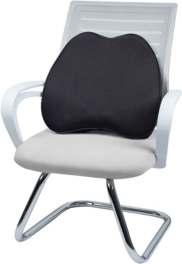 Amazon Basics Memory Foam Lumbar Support Pillow - Black