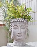 Newman House Studio Buddha Head-Planters Face Flower-Pot Garden-Statue - Decor for Home Succulents Cactus Plants Pot 6.7 * 6.7 * 8.7 Inch