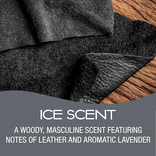 Image of California Scents Power Bloc Air Freshener, Ice Scent