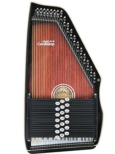 ARIA アリア PU搭載モデル コードハープ AH-21E オートハープ Amazon.co.jp: アリアCordharp ARIA/コードハープ ACH-21E