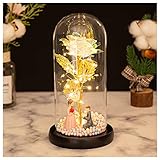 Design exquis : le dôme en verre brillant et transparent fait à la main sur une base noire peut protéger la rose et la conserver pour toujours. La rose en platine symbolise non seulement l'amour et l'appréciation éternels, mais aussi une bonne bénédiction. La rose platine qui ne se fane jamais représente toujours la foi éternelle.