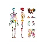 Graffiti Art Colorful Human Full Skeleton Organs Anatomy Doctor Medical Education Flipchart Canvas Painting Wall Art Poster Studio Clinic Home Decor