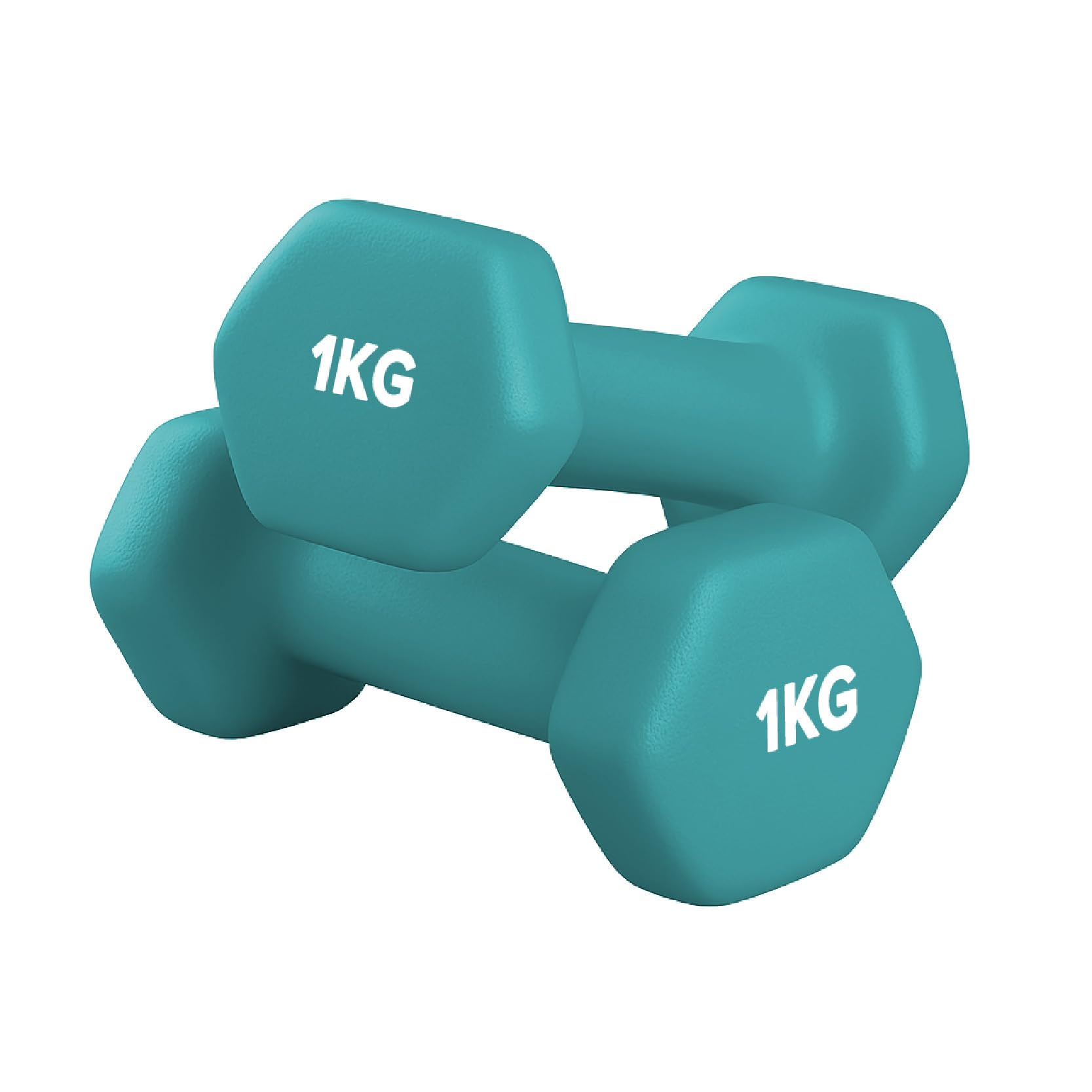 Neoprene Dumbbells Pair for Women Home Gym, Hex No-Roll Design, Non-Slip Grip, Colour Coded Weights Set, 0.5kg to 10kg (1kg-Pair-Blue)