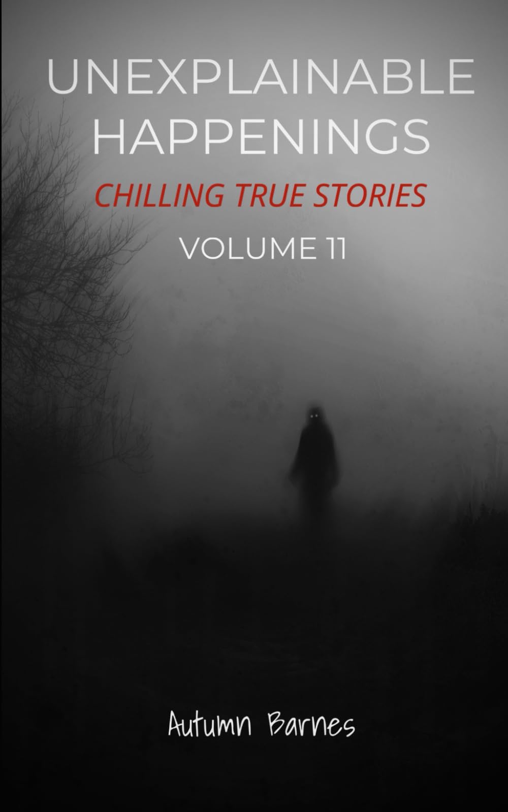 Unexplainable Happenings: Chilling True Stories, Volume 11