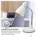 Newhouse Lighting Oxford White Metal Flexible Classic Goose Neck Design Desk or Table Lamp for Office or Bedroom Use