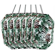 HomeWorx by SLATKIN + CO. Auto Hanger - Frozen Balsam Premium Scented Air Freshners