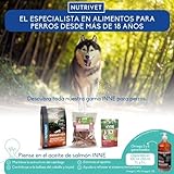 Nutrivet - INNE - Hund - Natürliche Leckerlis - Schinkenknochen - 1 Stück