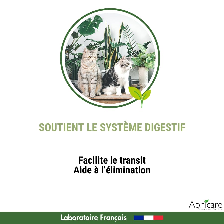 Hygiène intestinale - Confort intestinal - 20 gélules - levure de bière - 3 extrait végétaux - Complément Alimentaire - Chat et Chaton - Fabriqué en France
