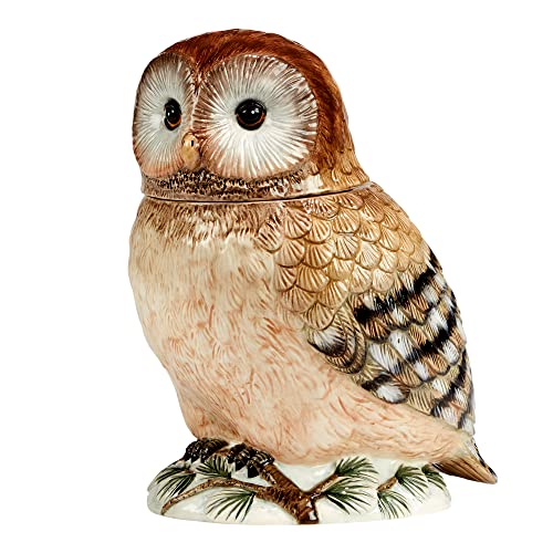Winter’s Walk 3-D Ceramic Owl Cookie Jar – A majestic hand-painted owl cookie jar that brings rustic woodland charm to your kitchen, perfect for storing treats or decorating for the holidays, 88 oz.