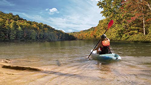 Image of Perception Rambler 9.5 | Sit on Top Kayak for All-Around Fun | Storage with Tie Downs