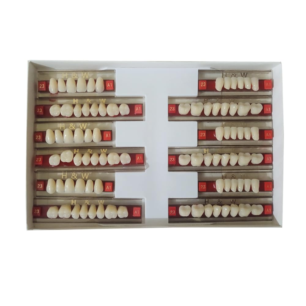 Synthetic teeth set - Double layer - A1 - module 419-image-26