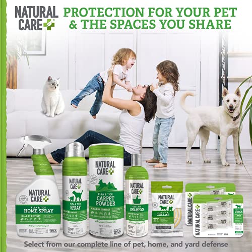 Natural Care Flea And Tick Carpet Powder | Flea Treatment For Rugs, Carpet, Or Pet Bedding | 8.1 Ounce Canister #TOP5