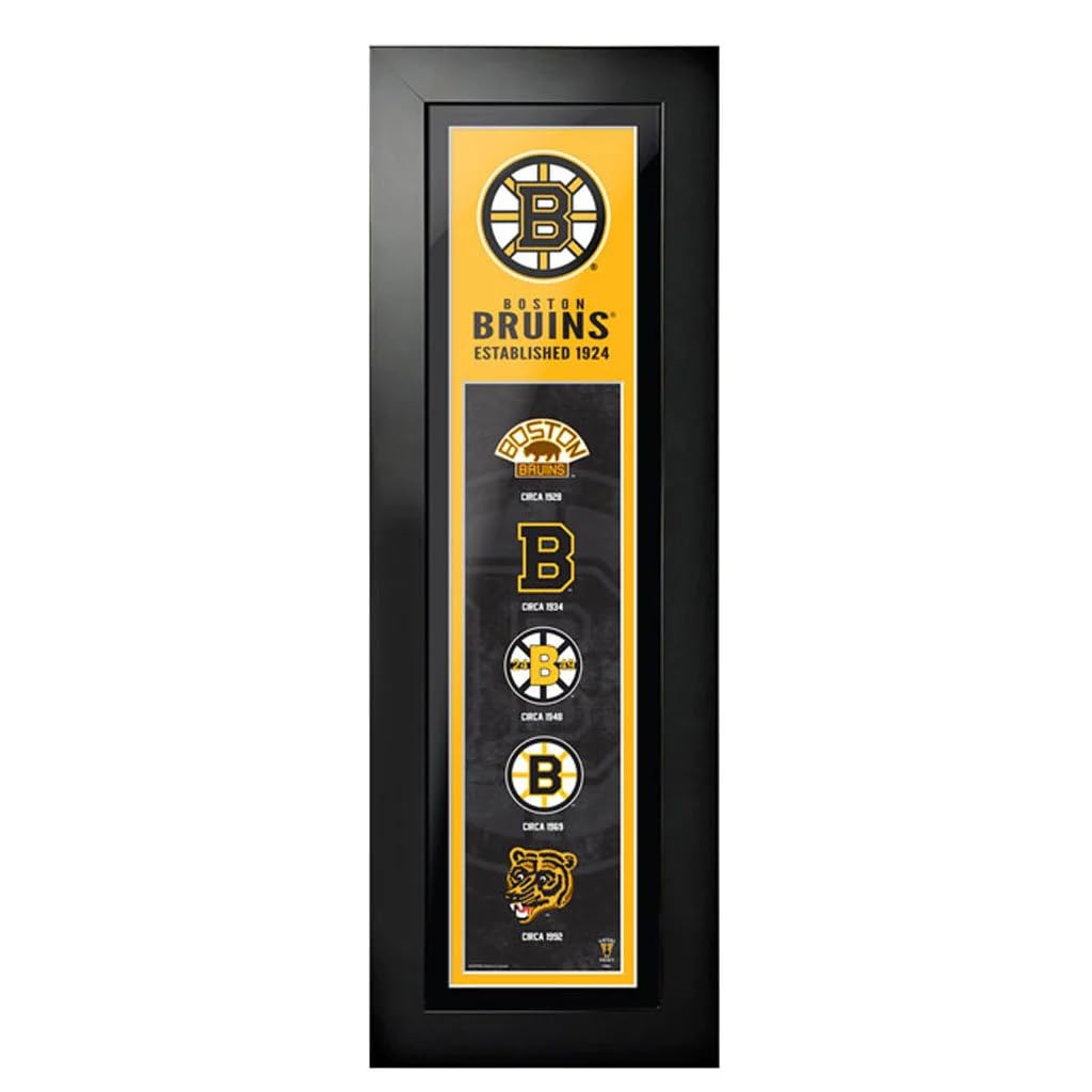 Boston Bruins 6