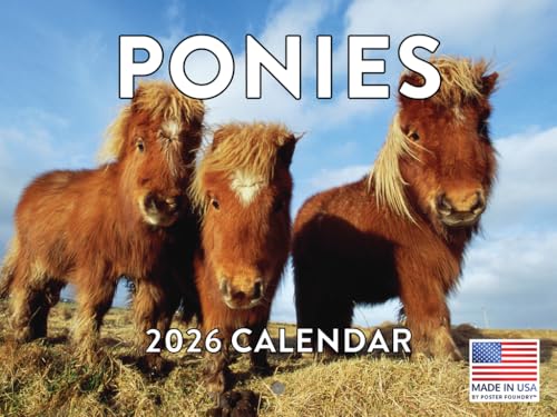 Pony Calendar 2026 Ponies Monthly Wall | American Made In The USA
