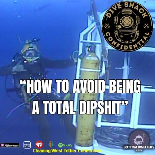 Page de couverture de How To Avoid Being A Total Dipshit
