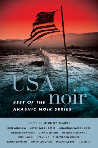 USA Noir: Best of the Akashic Noir Series (English Edition)