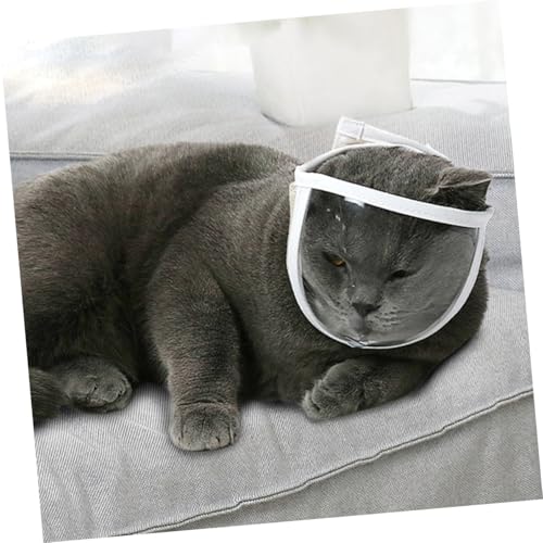 Ojos de gato transpirable accesorio transparente antimordeduras para viaje 8