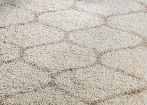 Image of Ultra-Soft Shaggy Carpet (4 X 6 FEET, Ivory Beige) Fluffy, Cozy & Durable Area Rug for Living Room, Bedroom & More ? Premium Modern Design