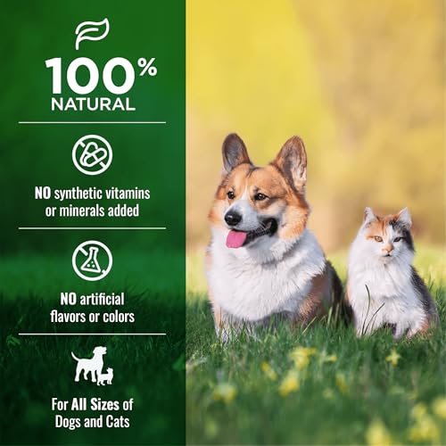 Image of NATURE'S LOGIC Beef Lung Dog & Cat Treats - Natural - USDA Beef, 1 lb
