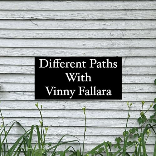 『Different Paths with Vinny Fallara』のカバーアート