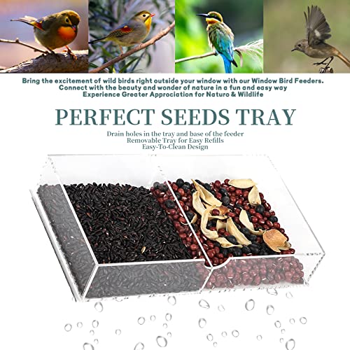 Window Bird Feeder,With Suction Cups,Perfect For Wild Bird Watching And Feeding #TOP2