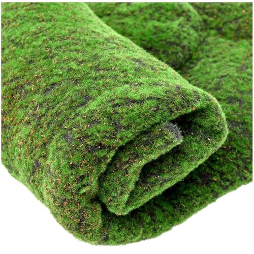 lH ΐA ےn tFCNۑ ŐA nߗ peBI K[f z[ fR[Vp 