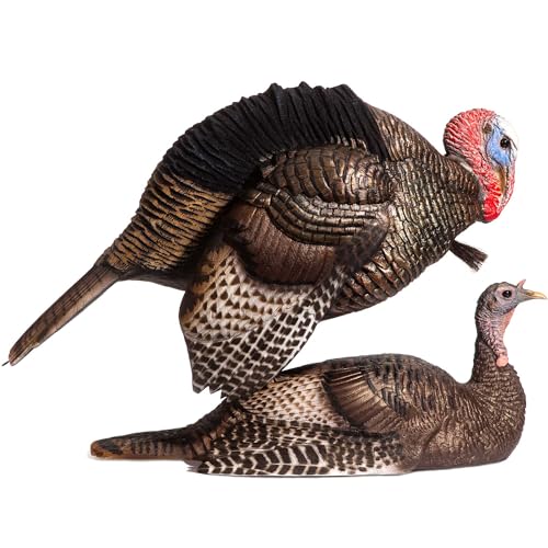 Best Early Season Turkey Decoy Setups 2024 OutdoorProductGuide
