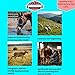 Organo Himalaya Himalayan Salt Lick On Rope 3.5-4 lb Each (Pack of 3) for Horses, Deer, Goats & Livestock | Natural, Mineral-Rich, Long-Lasting Salt Blocks