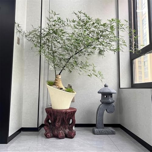 Support pour bonsaï présentoir de salon et support pour pots de jardin