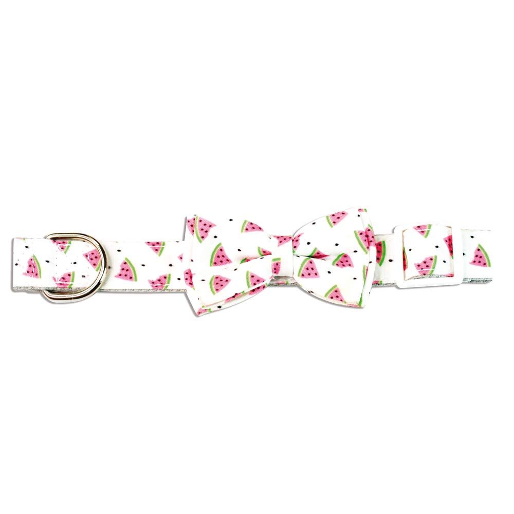 Crosses Collar Watermelon Size: 1.5 x 35 cm