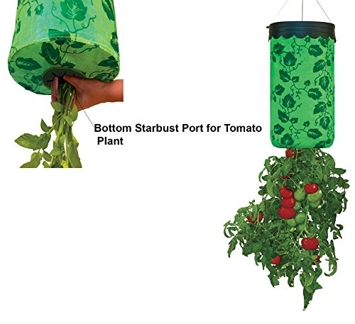 Allstar Innovations Topsy Turvy Upside-Down Tomato Planter - Thumbnail 4