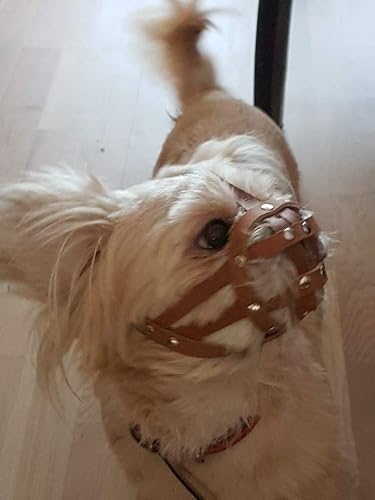 Miniatura 3 de L&J Pets Uk Bozal para perro Shih Tzu, Pug y otros perros de hocico corto de cara plana (cuero marrón, MA 1)