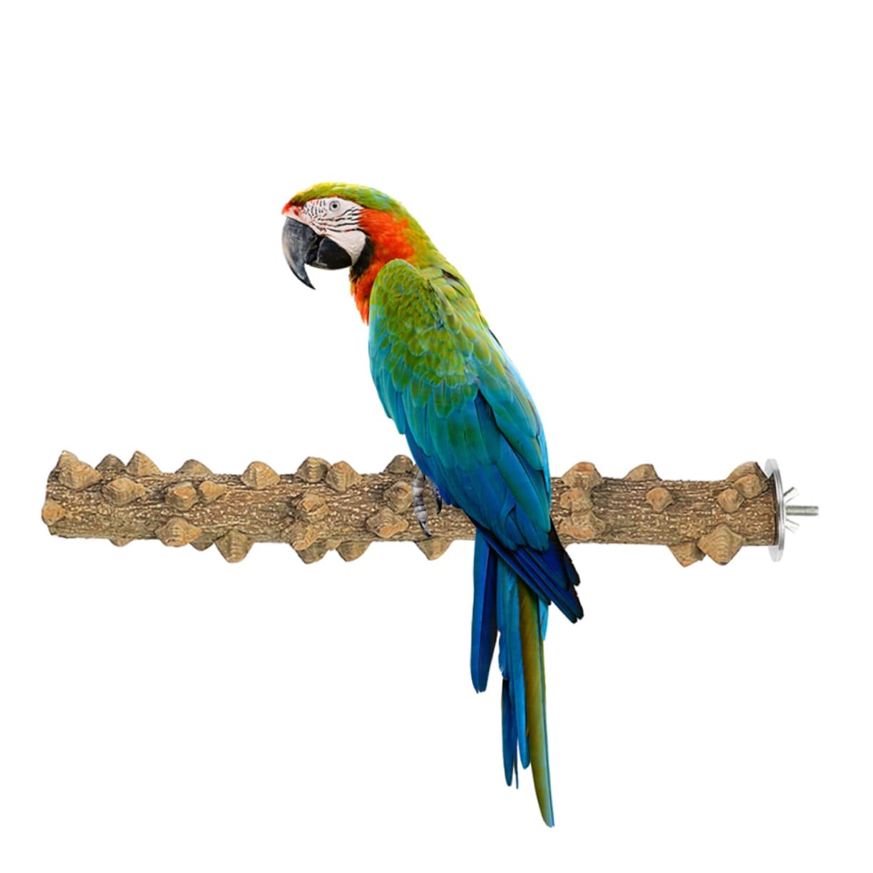 DOITOOL 3pièces Perchoir Bois Naturel pour Oiseaux Jouet Et Stand De Jeu pour Perroquets Cockatiels Conures Et Autres Petits Oiseaux