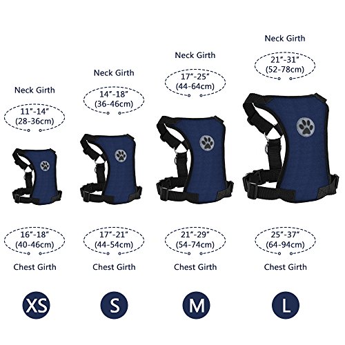 SlowTon Set di Cinture di Sicurezza per Cani