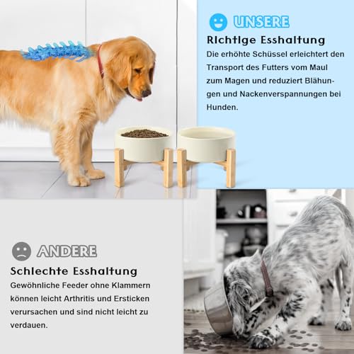 SPUNKYJUNKY Hundenapf Keramik Erhöhter Futternapf Set mit Bambus Ständer für Katzen und Hunde (400ml, Beige)