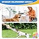 Hunde Geburtstag Kuchen, Geburtstag Hund Knochen-Plüschtier,Hund Kuchen Knorpel, Weich und Quietschend, Enthalten Geburtstagshut Hunde und Halstuch