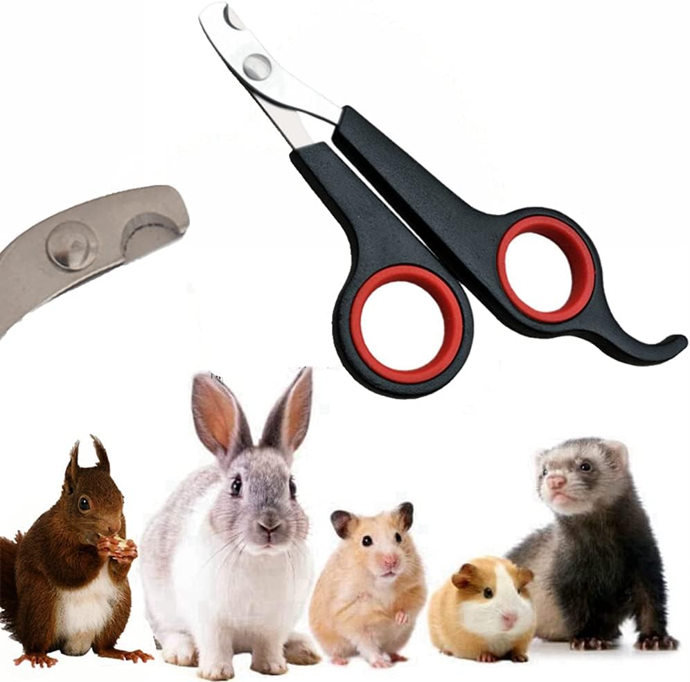 Rabbit Nail Clippers - Professional Pet Nail Clippers Stainless Steel Claw Trimmer Scissors for Small Animal Rabbit Guinea Pig Puppy…