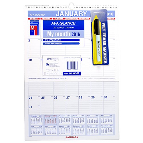 AT-A-GLANCE Monthly Wall Calendar 2016, Erasable, 12 x 17 Inches (PMLM02-28)