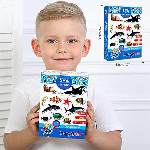 La Mejor review de Imanes infantiles listamos los 10 mejores. 12 Imagen adicional