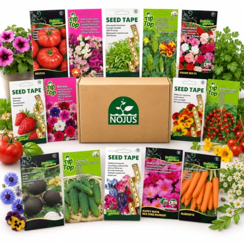 Nojus Set de semillas de jardín Value - 40 variedades - Mezcla de semillas variadas de flores, hierbas y verduras - 40 paquetes - Semillas de jardín - Caja de semillas de verduras 40 variedades