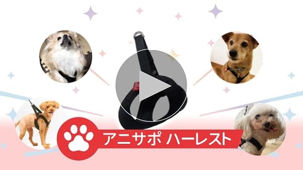 anifull 犬用サポーター アニサポヒップブラック XSサイズ anifull 犬用サポーター アニサポヒップブラック XSサイズ