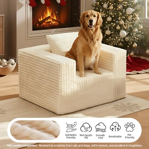 Single Cloud Sofa with Pillow