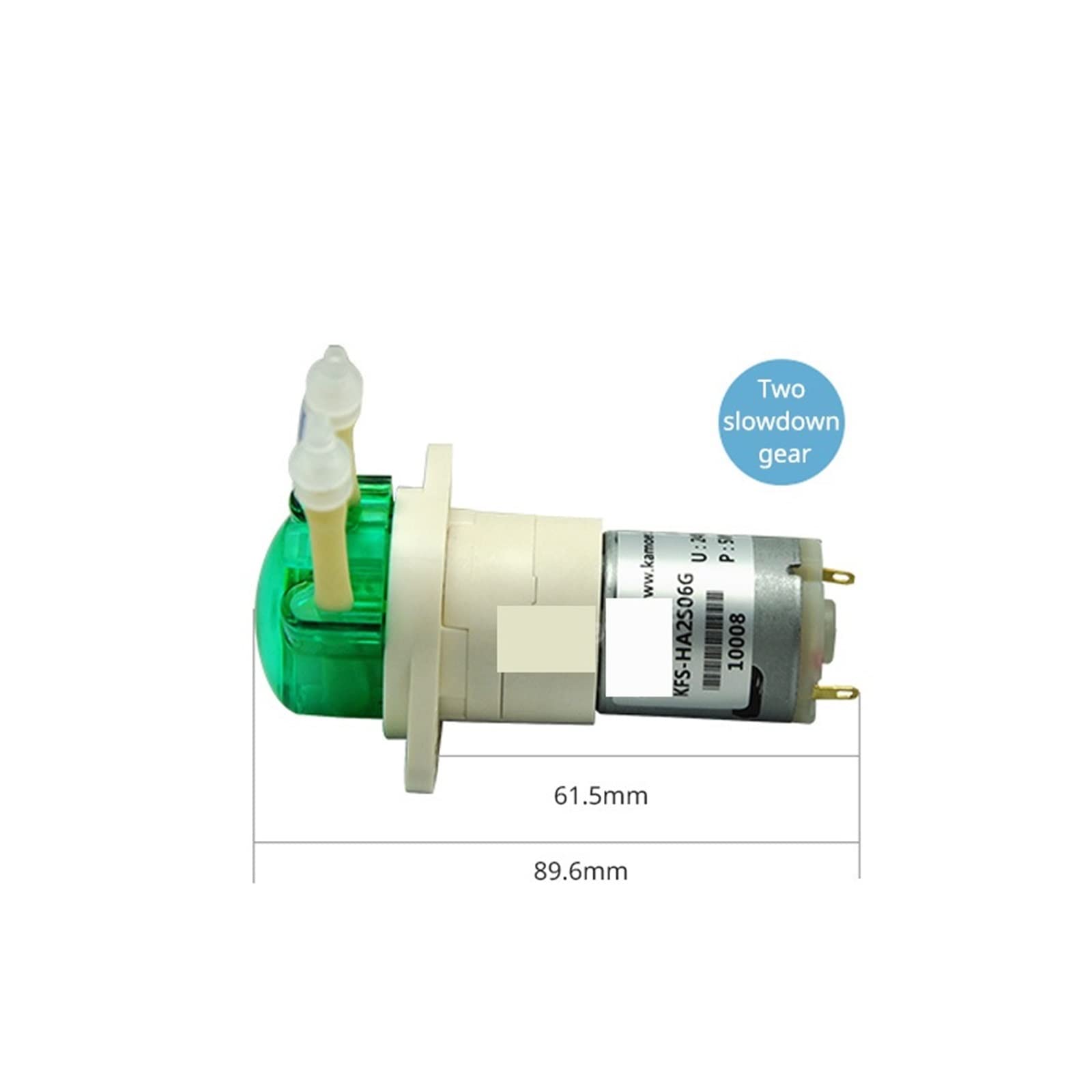 Pompa peristaltica 6V / 12V / 24V Piccola pompa a flusso costante 12v DC Micro pompa dell'acqua Pompa dell'acqua di circolazione Mini pompa(S06,12v one Slowdown Gear)